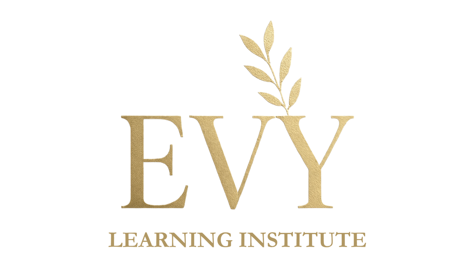 EVY Learning Institute logo